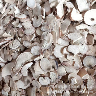 ��؛�������l�����֚�Ƭ�нӴ�؛ӆ�ΰ���Ƭ���NҎ��ɢ�b������