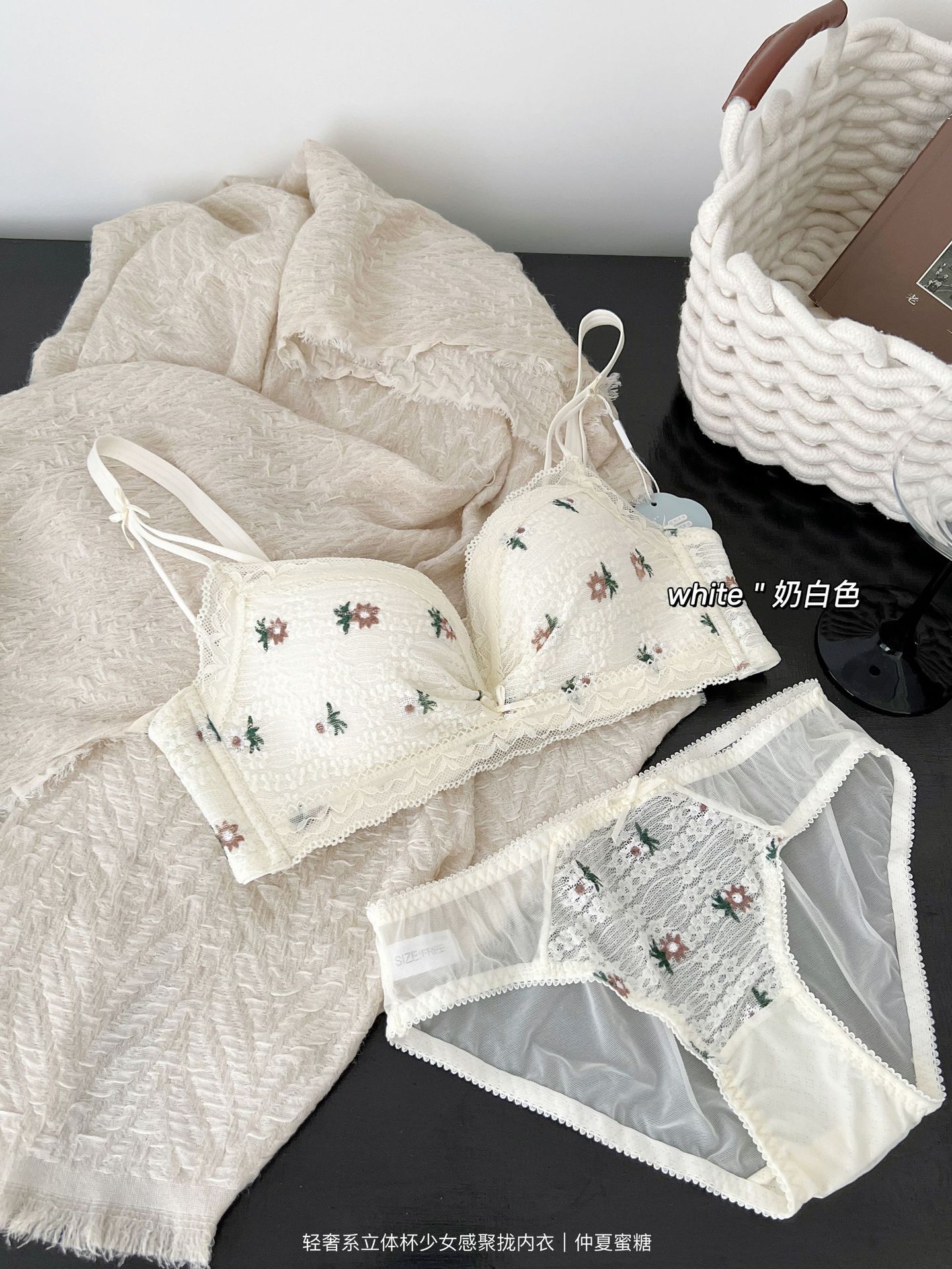 Venta directa de fábrica comercio electrónico transfronterizo Sudeste de Asia Vietnam Tailandia damas francés pecho pequeño superior delgado inferior grueso sujetador