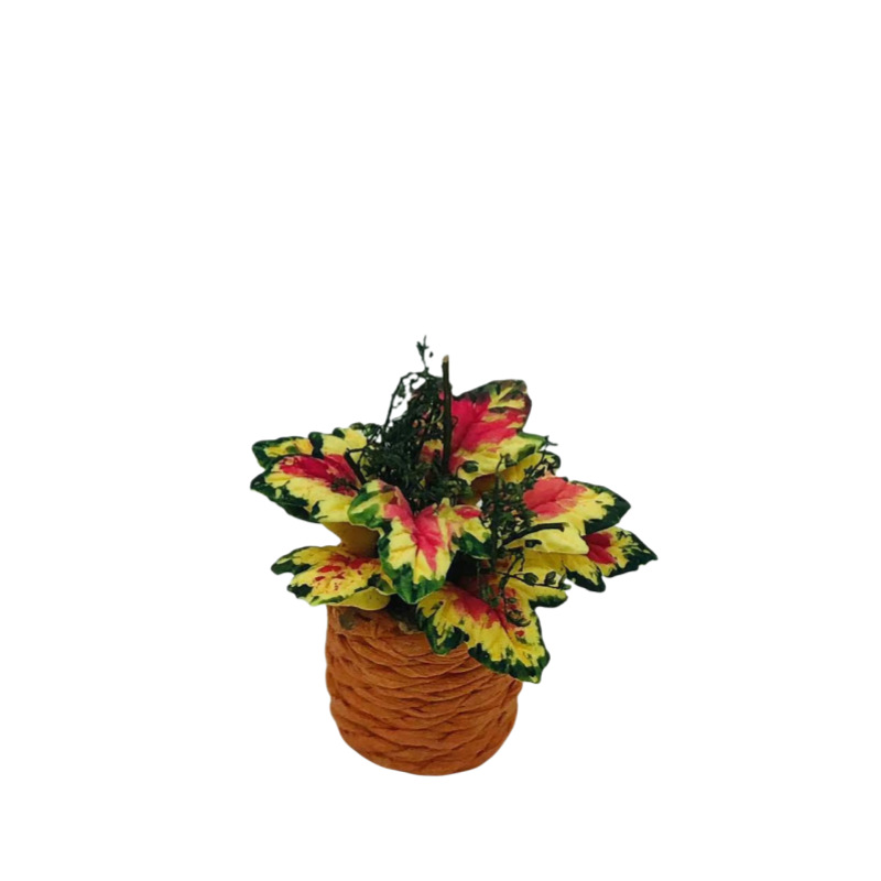 1:12ճ�������������װ��dollhouse����diy��������ģ��õ����