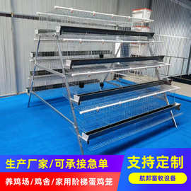 养鸡场梯形蛋鸡笼厂家供应鸡舍四层五门阶梯蛋鸡笼后热镀锌蛋鸡笼