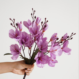 �羳�߷�����������m�� �Ҿ��b[�O���m����c�b��ֹ����m��