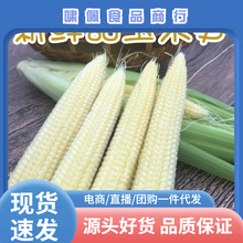 ���V�������׹S�����r�Fժ����С����о��������߲��r�ێ�Ƥ����