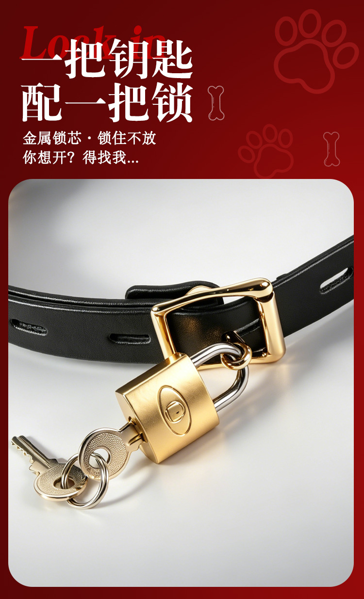 Jiuai SM Couple’s Kit with Nipple Clamps and Flirtation Tools — detail image 22