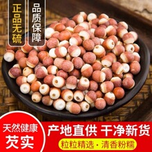 �͌���؛500g��؛��Ѭ���͌�Ƿ���V�|�ؑc�u�^�״Č����мt��޲��