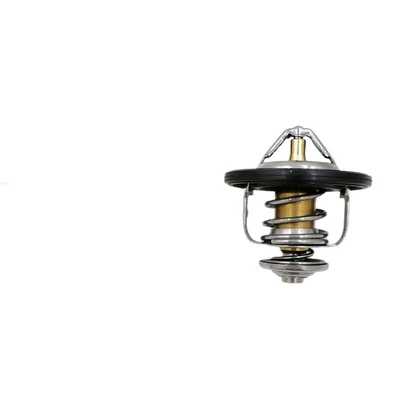 Thermostat 21200-6N210 Thermostat