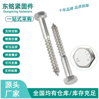 304不锈钢外六角自攻螺丝钉DIN571外六角头木螺钉螺栓 M6M8M10M12