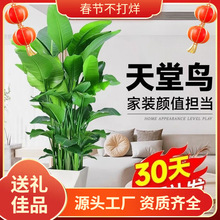 ��������؈�乷����ë����̩�Ͻ�ë��ë���ëˢ؈ȥ��ë��Ʒ���]