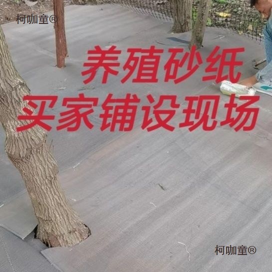 养殖砂纸养鹅砂纸旧砂纸铺地面房屋顶脊瓦室外防雨防晒养殖麦太保