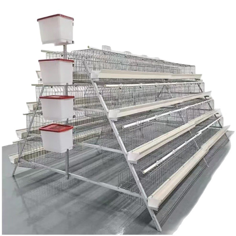 Una jaula de huevos de 4 capas de 4 puertas, una jaula de escalones tipo A, tecnología de galvanizado en frío / galvanizado en caliente, crianza de gallinas