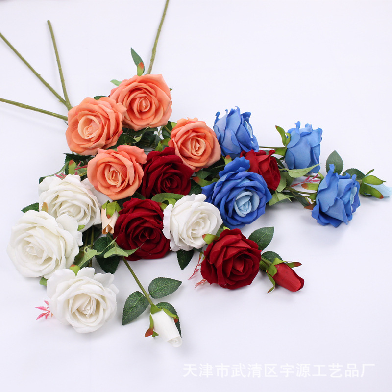 img_8116_副本.jpg