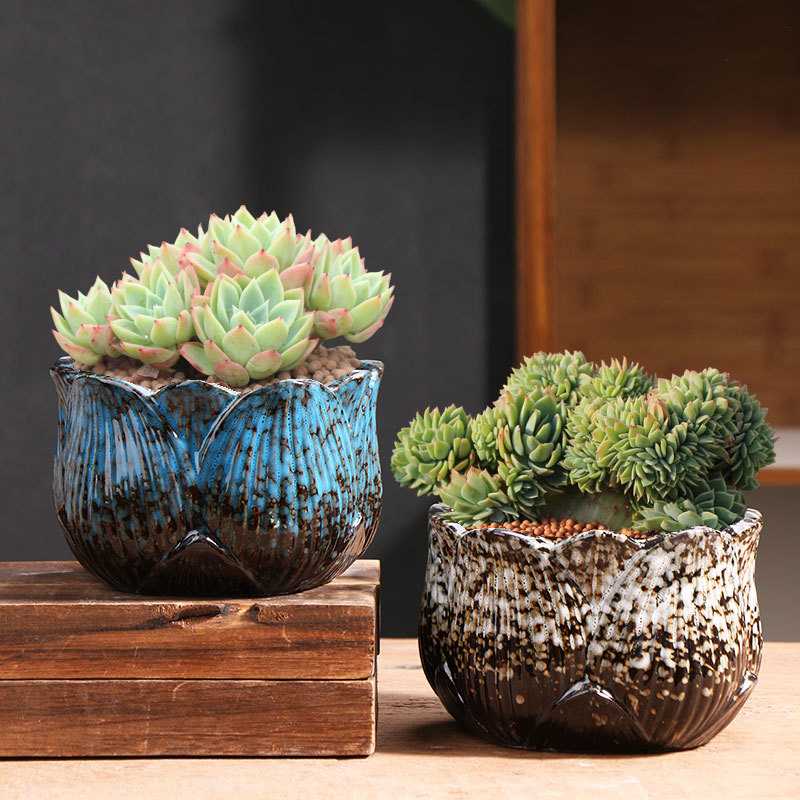 Loto Qunsheng suculenta olla de cerámica especial grande tamaño pequeño carne hogar arcilla suculenta maceta fábrica directa al por mayor