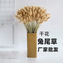 ��ϸɻ���β�ݻ���60֧�Ҿ��b[���Ĕz���߁��R�d�羳���Q؛Դ