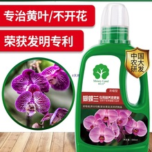 蝴蝶兰肥料肥营养液蝴蝶兰营养土盆栽花盆种植花土壤花肥