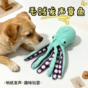 �¿�R�d����ë�q��߰l���ӽ␞������~�д���Ȯ�������