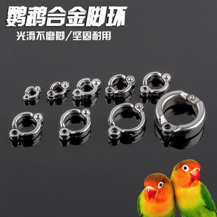 �W�^�_�h �B��_�h�_����B����_��Ȧ����Ʒ�B�� �B�_�h