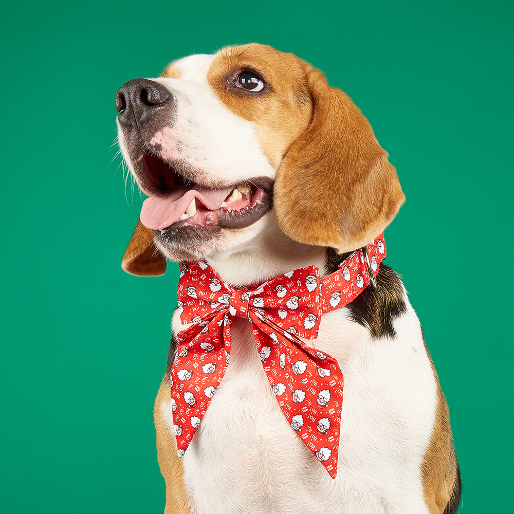 Transfronterizo spot mascota poliéster collar perro doble arco de navidad británico mascota corbata collar de mascota