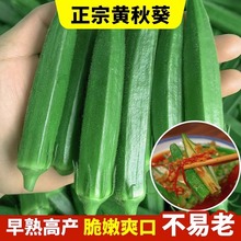 �����S����N�����r�߲�ˮ�����ͼt����ļ����N��������N�Ѵ�ȫ