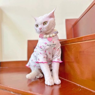New Cat and Dog Short-Sleeved Cat T-Shirt Summer Pet Clothes Japanese and Korean Style Breathable and Lightweight