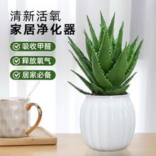 �J�Cˮ���҃����ԃ����՚��k���������ͺ����B�����辰�Gֲ����ȩ