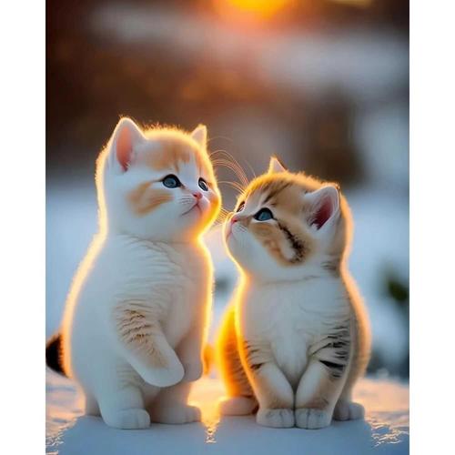 Healing System Cute Kitten Self-adhesive Sticker for Children's Room Wall, Bedroom Doors and Windows Car Body Decoration Cartoon Sticker