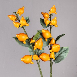 �����S���֦������ٹ���΢���^�쾰��ˇ�[���ҾӲ廨�b��\��