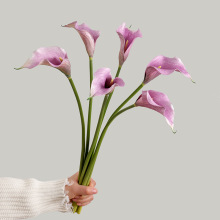 摄影拍摄道具仿真假花手感黑紫马蹄莲 客厅家居摆件仿真白色海芋