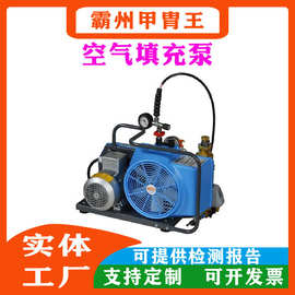 正压式消防空气呼吸器充气泵空气呼吸填充泵打气充填泵高压30MPA