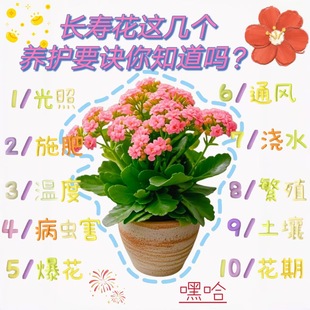 �L�ۻ������ذ�����󻨎����������ļ��҃��_�����B�Ļ���ֲ��