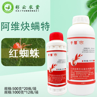 ����ǧ�� 40%���SȲ�\�ذ��S����+Ȳ�\�ظ��٘�t֩�뚢�x���rș