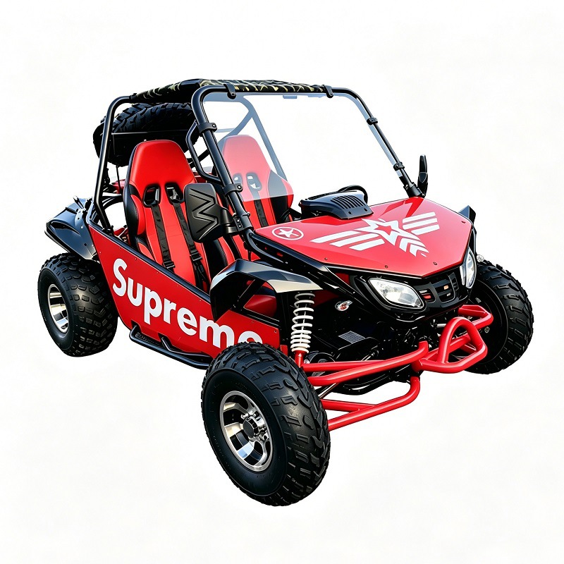 Go Kart Todoterreno de Dos Asientos 200-300cc de Hierro y Plástico con Arranque Eléctrico image 6