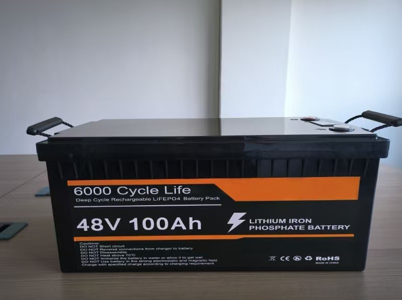 48V100AH