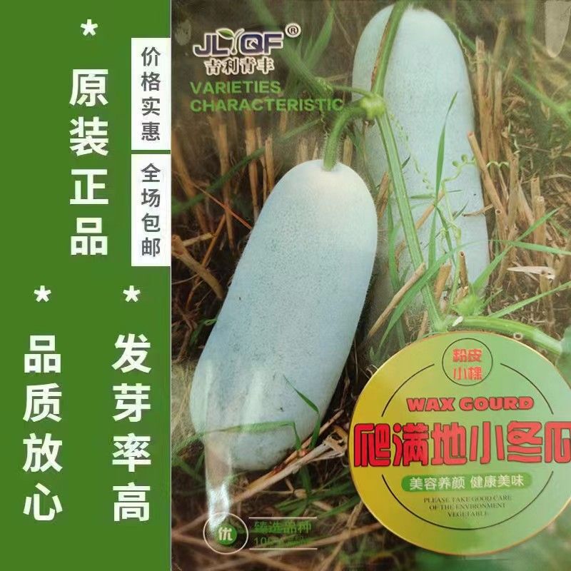 [100% New Species] White-Skinned Small Winter Melon Seeds Crawling All over the Ground, High-Yielding Hairy Melon Seeds, Winter Melon Seeds for All Seasons