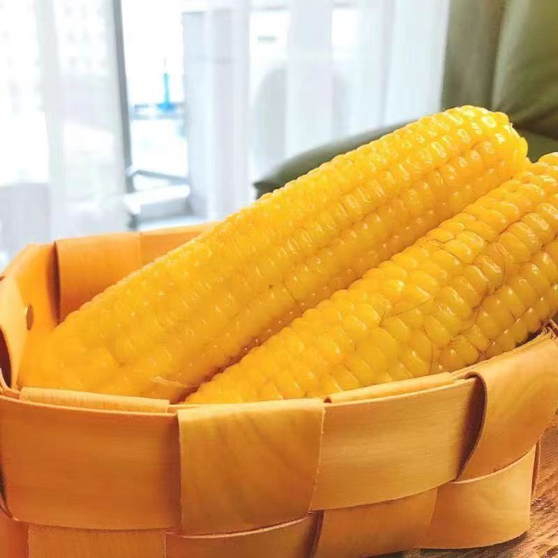 【整箱根】正宗东北黄糯玉米香甜黏糯粘新鲜非转基因餐代肥减|undefined