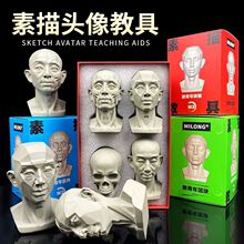 头头是道头像教具米隆写生美术素描石膏像肌肉树脂静物摆件模型
