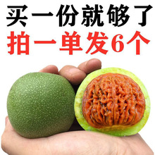 核桃文玩赌青皮闷尖四座楼白狮子虎头满天星苹果园官帽麒麟纹官帽