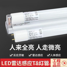 ���_���ܸБ�T8���� ���w�t�����܂}������܇��ͣ܇�����_�Б���