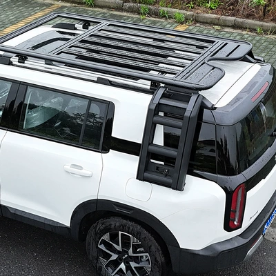 Roof rack Platform Ladder Kit Modified