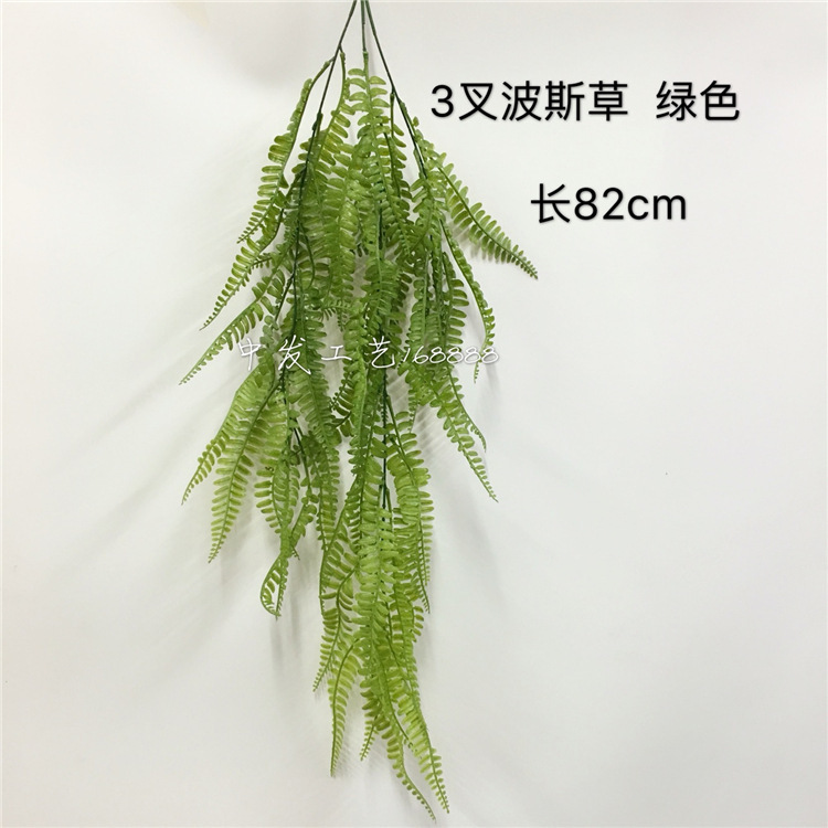 다크 그레이 페르시아 잔디 녹색