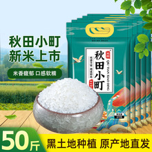 �r������С���50��|������ 2025����ĥ����з����10kg�A������y