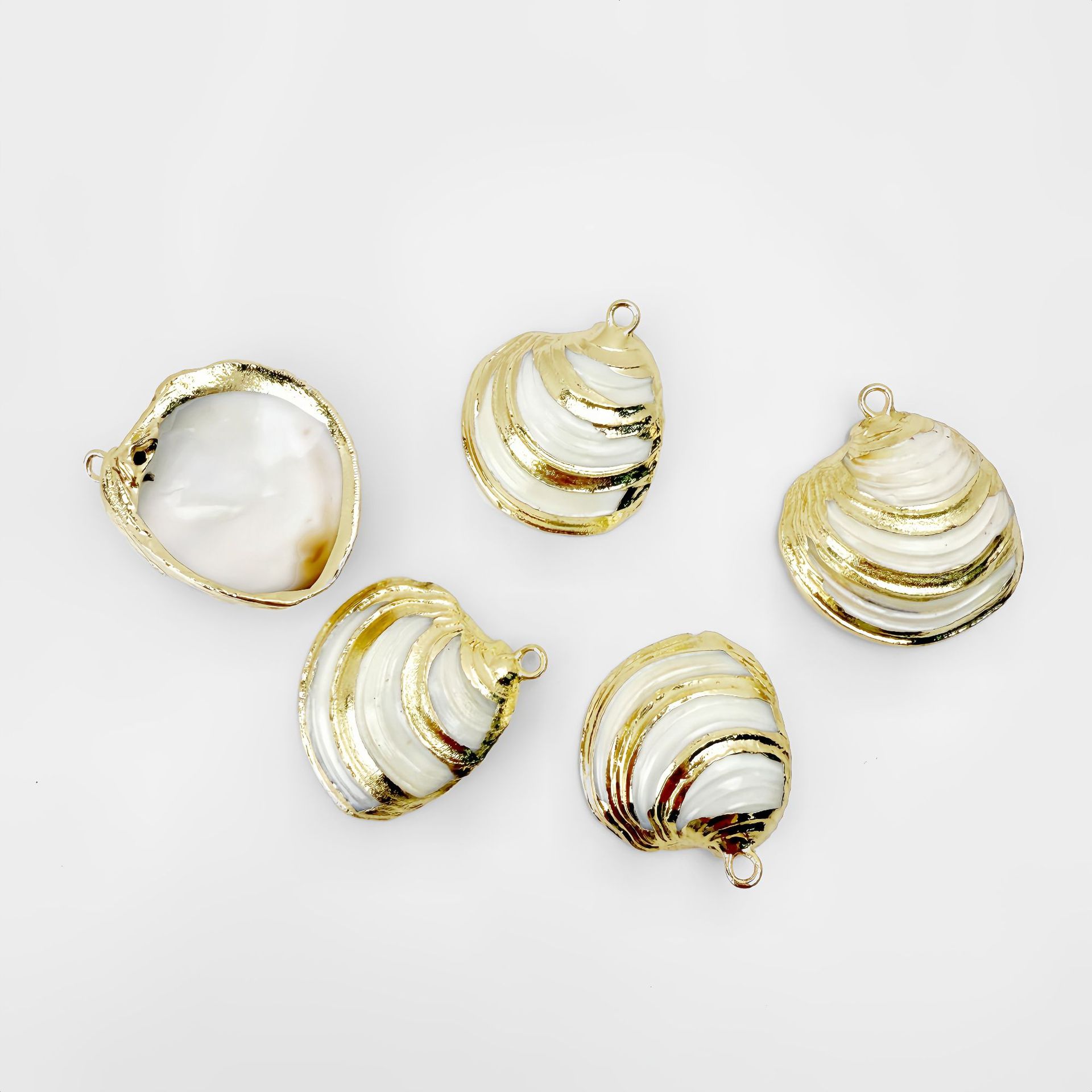 물무늬 조개 60개(행운)