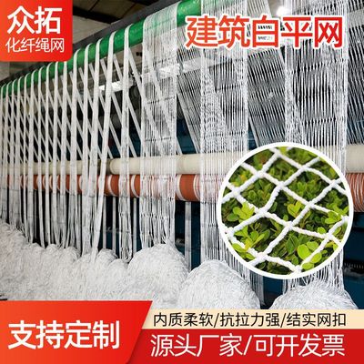 建筑安全网 工地防护防坠网白色阻燃安全平网 球场围网 尼龙绳网