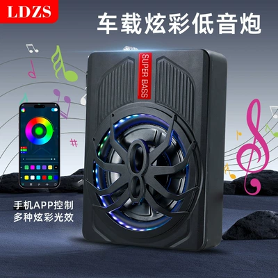 10inch, Car speaker/subwoofer