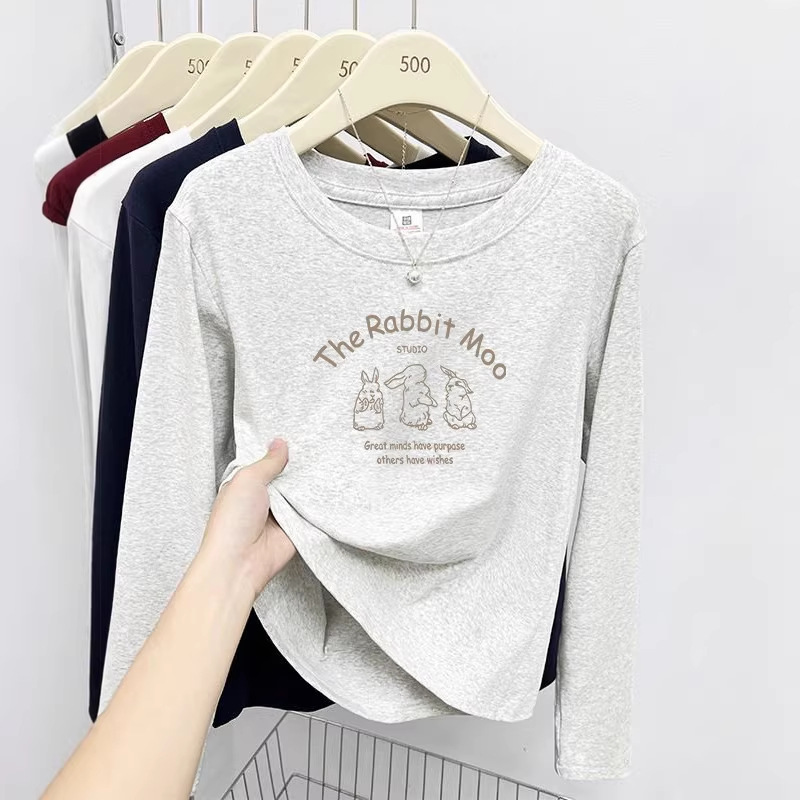 Light Gray Long-Sleeved T-Shirt for Women, New Spring and Autumn Pure Cotton Base Shirt, Early Autumn Thin Style, Very Beautiful Top