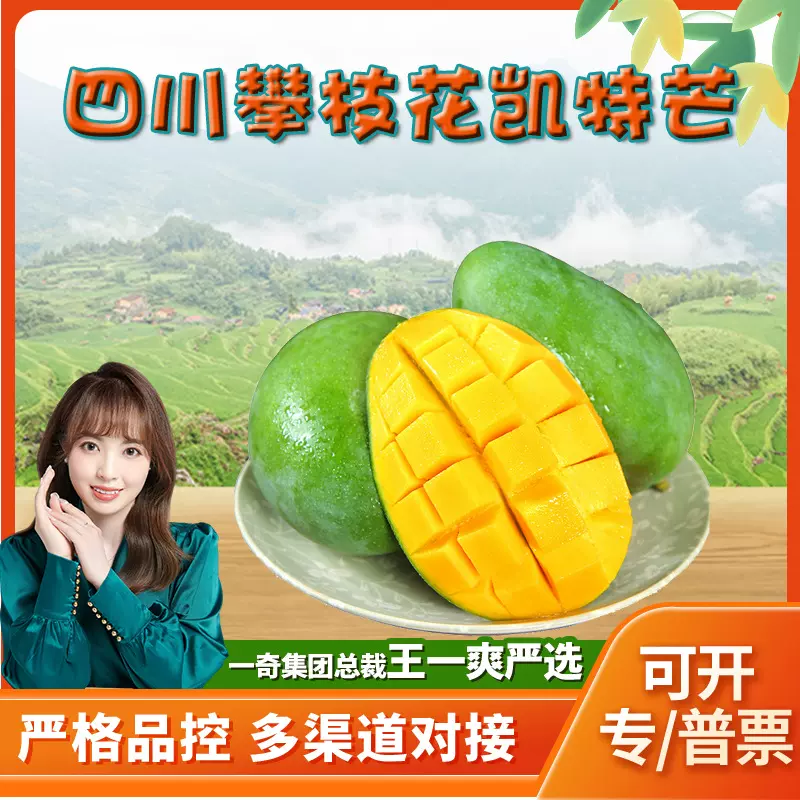 【严选】四川攀枝花凯特芒 代发3大果新鲜甜糯大脸芒果当季水果