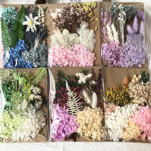 Dried Flower Material Package, Dried Flower Material Type A, Painted Fan Greeting Card, Handmade Dried Flower Bouquet, Real Flower Glue Factory Supply Chain