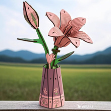 木质3D立体DIY手工制作拼图益智玩具花卉类模型宜教宜乐