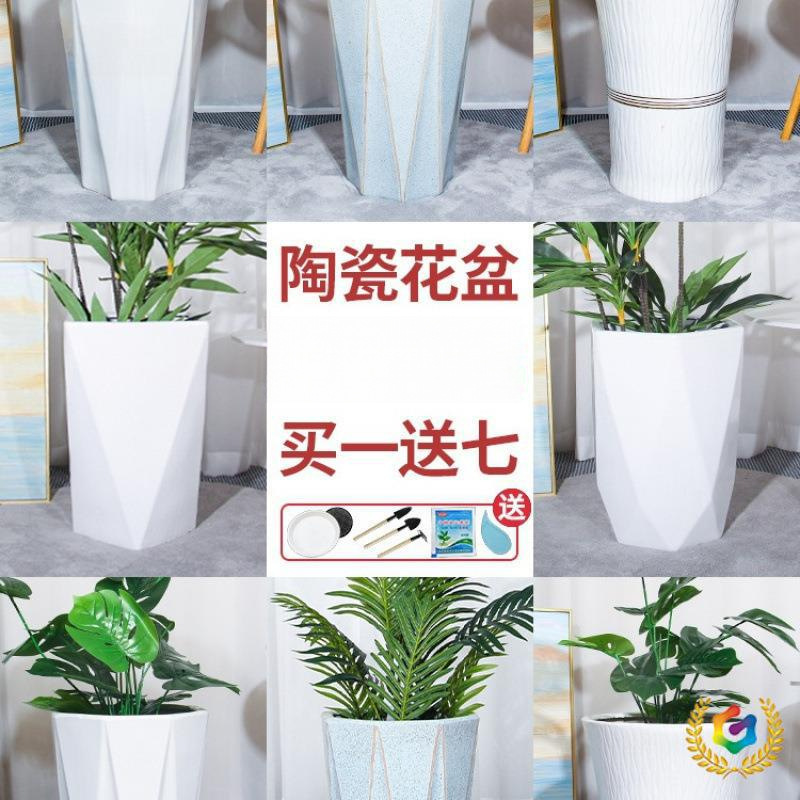 Y陶瓷花盆大口径简约特大号阳台家用落地绿植轻奢感L