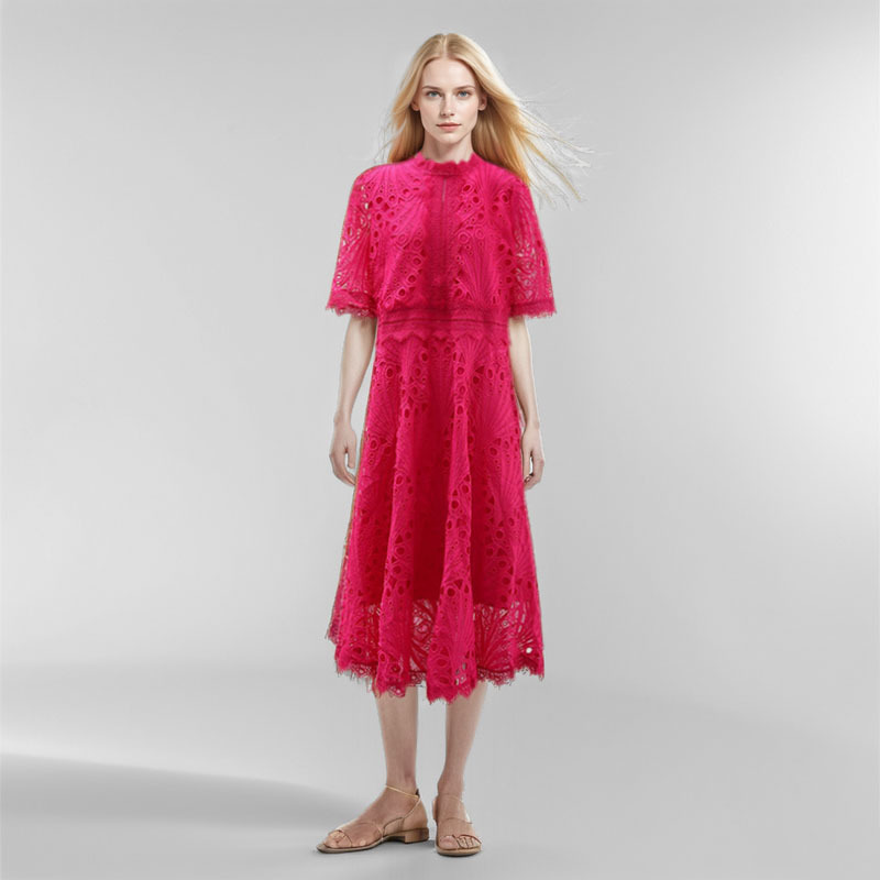 Fashionable lace design elegant summer dress