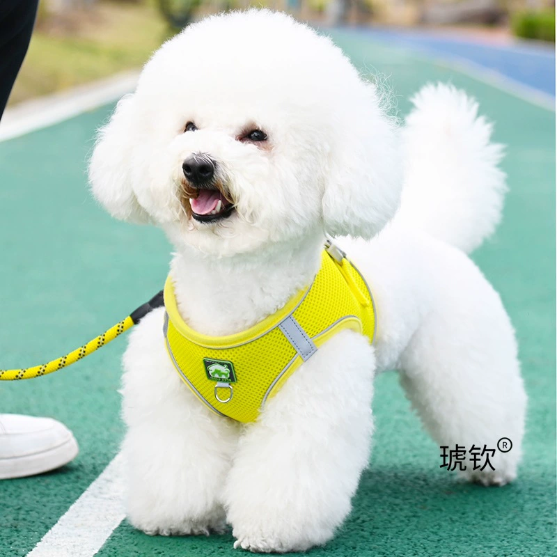 Поводок для собак мелких пород, жилет, бишон, Тедди, померанский шпиц, щенок, шлейка для собак, веревка для прогулок, цепочка для собак