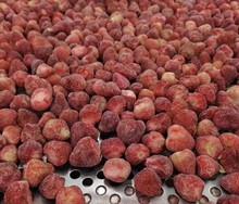 工廠直銷出口批發冷凍速凍草莓